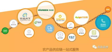 生鮮B2B旺火，為何“燒”不掉農貿市場？——網絡信息技術服務下的共生邏輯